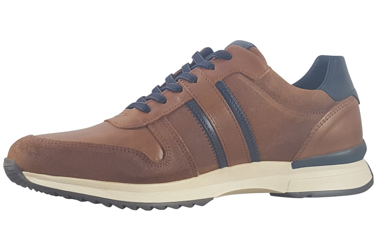 Lloyd and Pryce Pollard Umber Mens Trainers