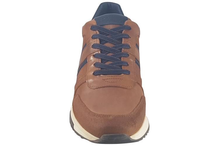 Lloyd and Pryce Pollard Umber Mens Trainers