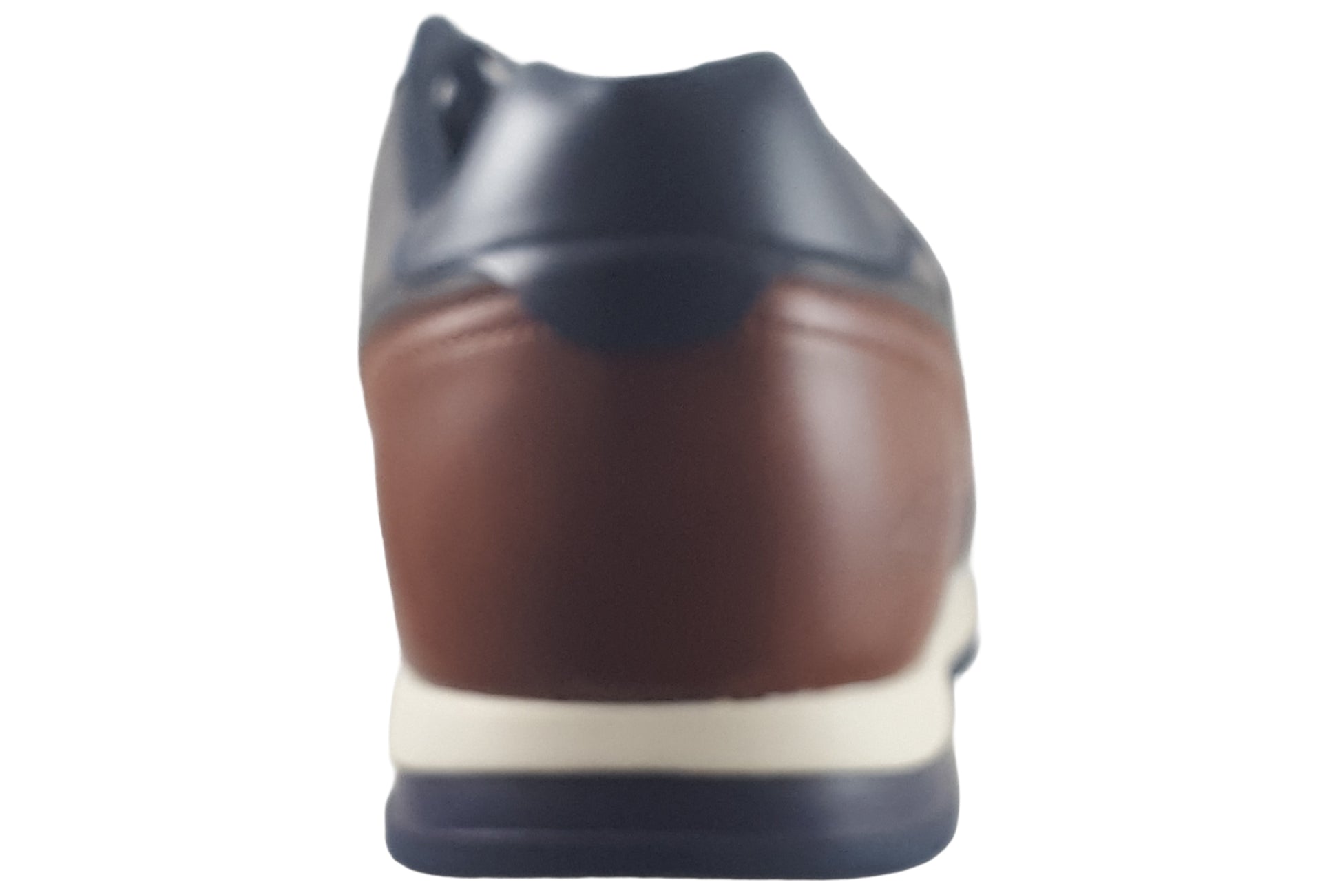 lloyd-and-pryce-roigard-mens-trainers-carbon-back