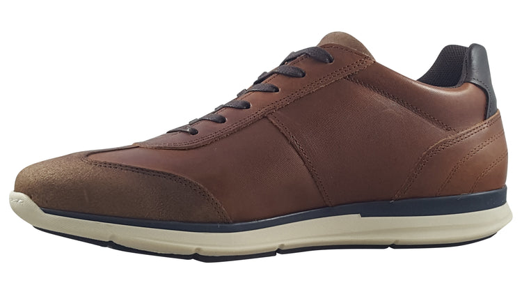 Lloyd and Pryce Gallo Umber Mens Trainers