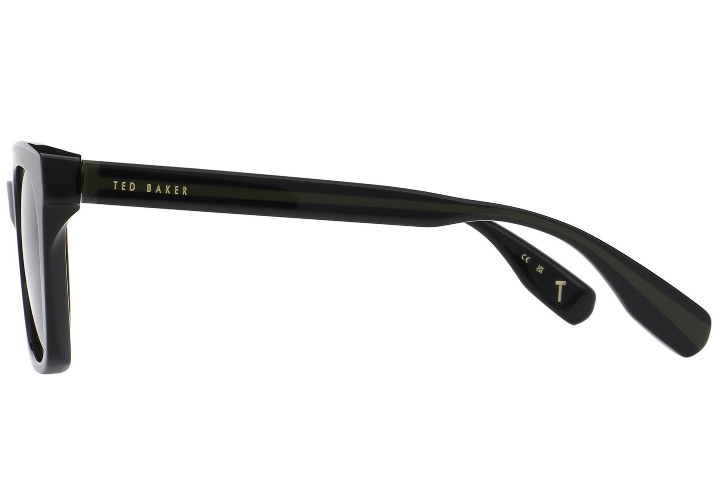 Ted Baker Donall Black Womens Sunglasses