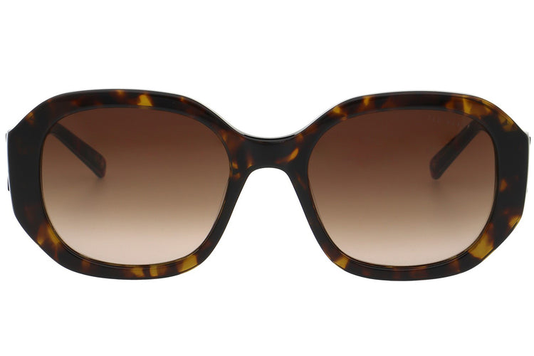 Ted Baker Karoline Classic Tort Womens Sunglasses