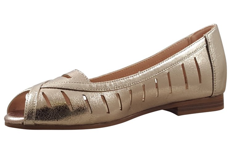 Zanni and Co Ishikari Gold Sparkle Womens Shoes